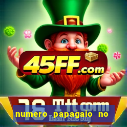 numero papagaio no jogo do bicho